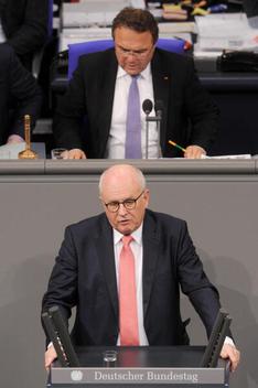 Kauder, Volker; Friedrich, Hans-Peter Reichstagsgebäude, Plenarsaal