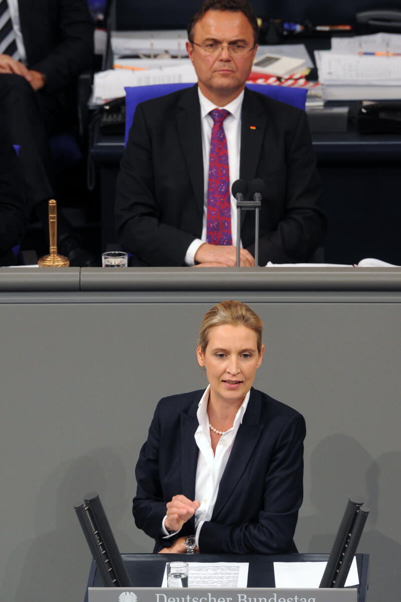 Weidel, Alice; Friedrich, Hans-Peter Alice Weidel, AfD, Bundestagsabgeordnete, Abgeordnete, Mitglied Deutscher Bundestag, MdB, Rede, 2. Sitzung, TOP 9, Thema: Rechtskonfomität der Euro-Stabilisierung, Vorsitz: Bundestagsvizepräsident Dr. Hans-Peter Friedrich, CDU/CSU.; Rednerpult.