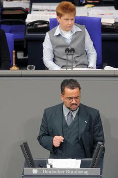 Weyel, Harald; Pau, Petra Reichstagsgebäude, Plenarsaal