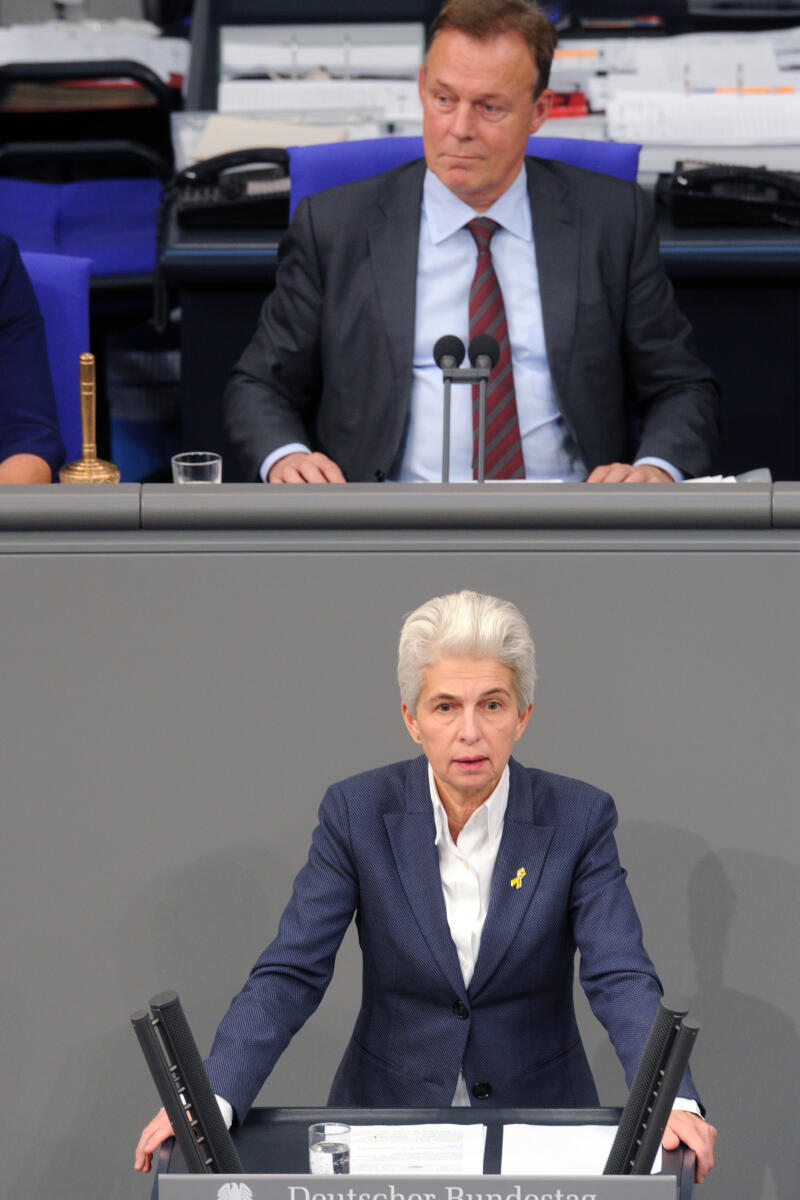 Strack-Zimmermann, Marie-Agnes; Oppermann, Thomas Marie-Agnes Strack-Zimmermann, FDP, Bundestagsabgeordnete, Abgeordnete, Mitglied Deutscher Bundestag, MdB, Rede, 2. Sitzung, Top 5, Thema: Bundeswehreinsatz in Dafur (UNAMID), Vorsitz: Bundestagsvizepräsident Thomas Oppermann, SPD.; Rednerpult.