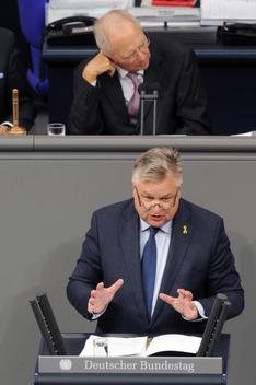 Link, Michael; Schäuble, Wolfgang Reichstagsgebäude, Plenarsaal