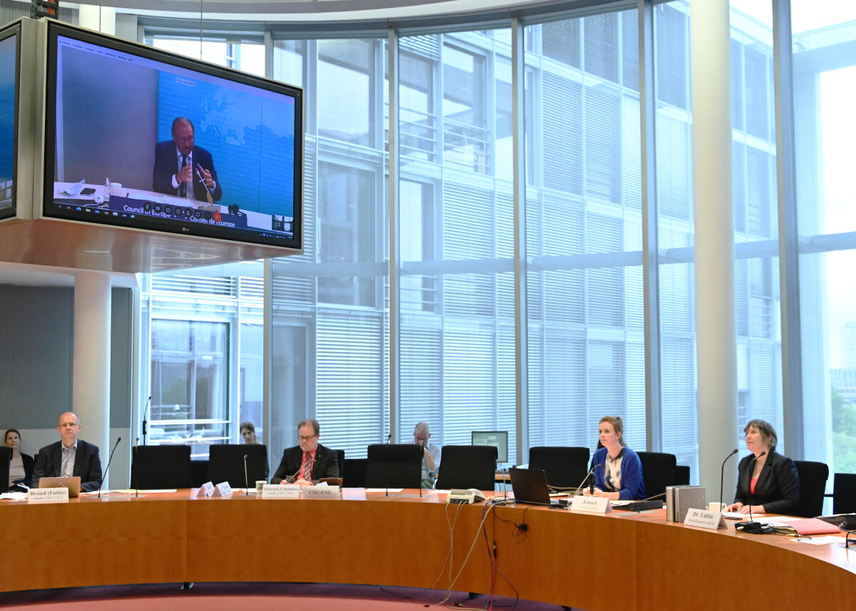 Jensen, Gyde; Daems, Rik Gyde Jensen, (2.v.re), FDP, Vorsitzende des Ausschusses des Deutschen Bundestages für Menschenrechte und humanitäre Hilfe, leitet eine Ausschusssitzung, zu der der Präsident der Parlamentarischen Versammlung des Europarates, Rik Daems (auf dem Bildschirm), per webex-Videokonferenz zugeschaltet ist.; Übersicht.
