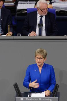 Tiemann, Dietlind; Kubicki, Wolfgang Reichstagsgebäude, Plenarsaal