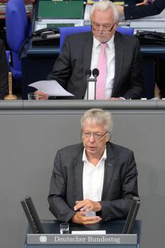 Rossmann, Ernst Dieter; Kubicki, Wolfgang Reichstagsgebäude, Plenarsaal