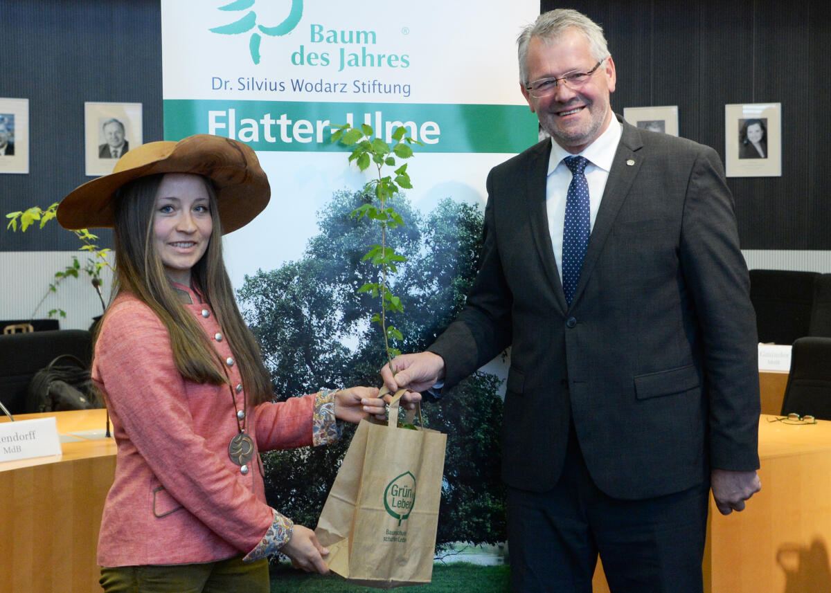 Alois Gerig, CDU/CSU, Vorsitzender des Ausschusses des Deutschen Bundestages für Ernährung und Landwirtschaft, nimmt zu Beginn der Sitzung von der Baumkönigin 2019, Caroline Hensel, den Baum des Jahres 2019, die Flatter Ulme, entgegen. Gerig, Alois; Hensel, Caroline Alois Gerig, CDU/CSU, Vorsitzender des Ausschusses des Deutschen Bundestages für Ernährung und Landwirtschaft, nimmt zu Beginn der Sitzung von der Baumkönigin 2019, Caroline Hensel, den Baum des Jahres 2019, die Flatter Ulme, entgegen.