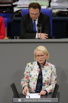 Damerow, Astrid; Friedrich, Hans-Peter Reichstagsgebäude, Plenarsaal