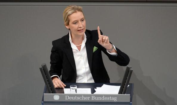 Weidel, Alice Reichstagsgebäude, Plenarsaal
