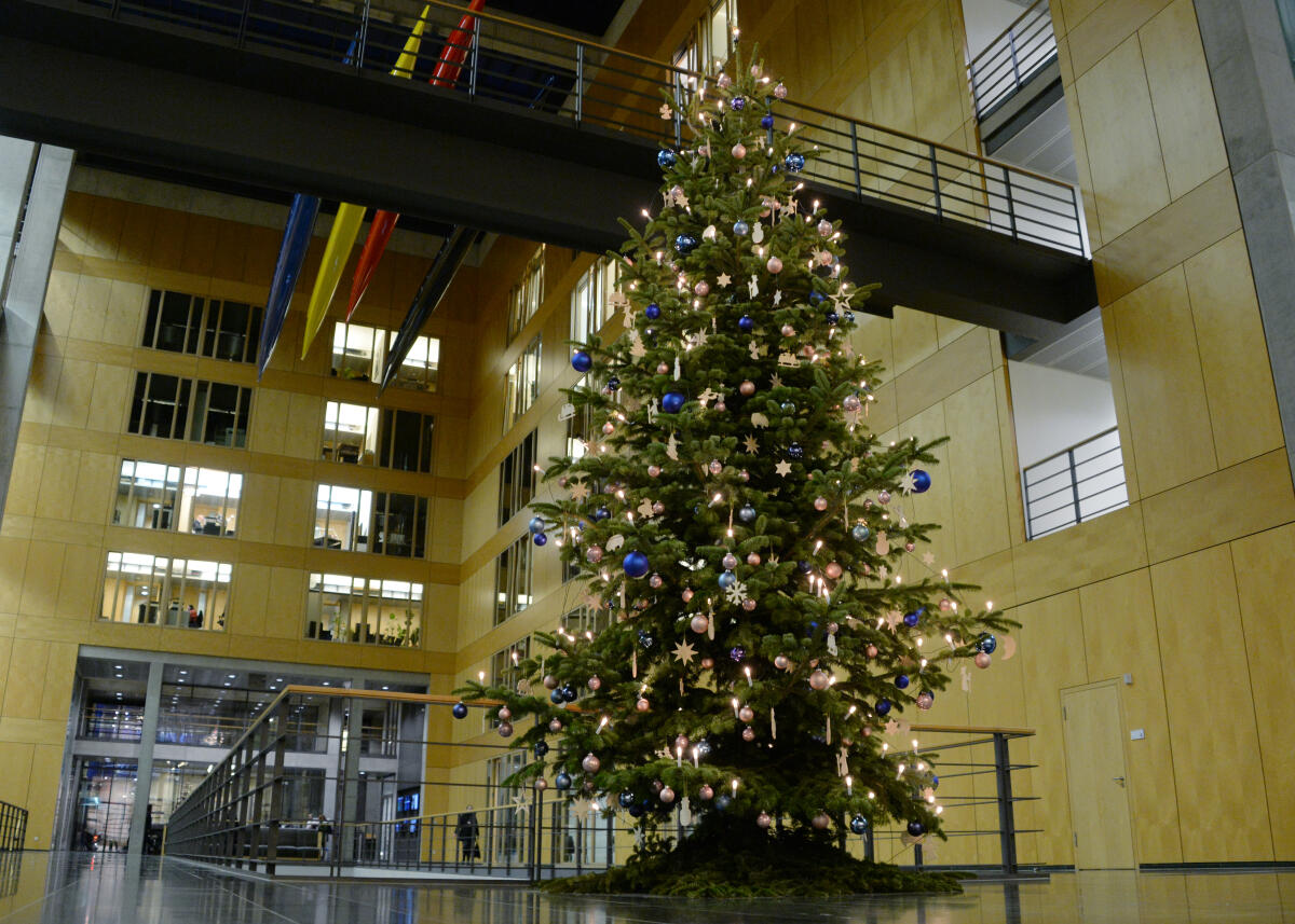  Weihnacht im Deutschen Bundestag. Hier der Weihnachtsbaum im Jakob-Kaiser-Haus.; Weihnachten, Weihnachtsbaum, Baumschmuck, Lichterkette.