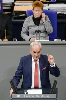 Irmer, Hans-Jürgen; Pau, Petra Reichstagsgebäude, Plenarsaal