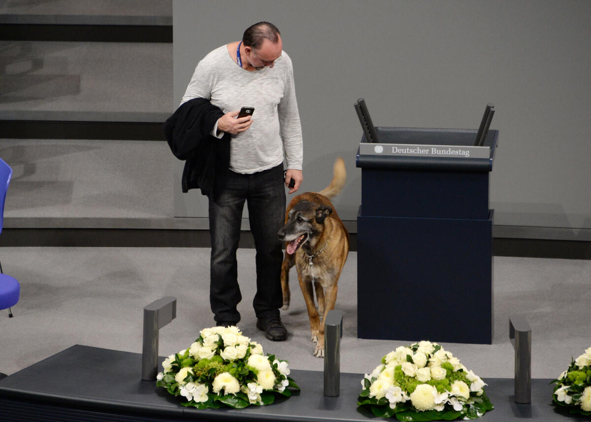  Gedenkstunde zum 9. November 1918, 1938 und 1989. Bundestagspräsident Dr. Wolfgang Schäuble hält die Begrüßungsansprache, Bundespräsident Dr. Frank-Walter Steinmeier die Gedenkrede, Schauspieler Ulrich Matthes liest zur Ausrufung der Republik 1918 durch Philipp Scheidemann aus dem Deutschen Revolutions-Almanach 1919. Musikalisch wird die Veranstaltung von einem Klarinettenquintett und einem Streichquartett begleitet. Darunter der israelische Klarinettist Nur Ben Shalom. Vor Beginn der Gedenkstunde durchsuchen Spürhunde den Saal nach Sprengstoff ab.