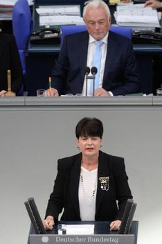Aschenberg-Dugnus, Christine; Kubicki, Wolfgang Reichstagsgebäude, Plenarsaal