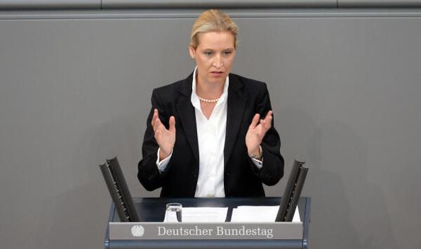Weidel, Alice Reichstagsgebäude, Plenarsaal