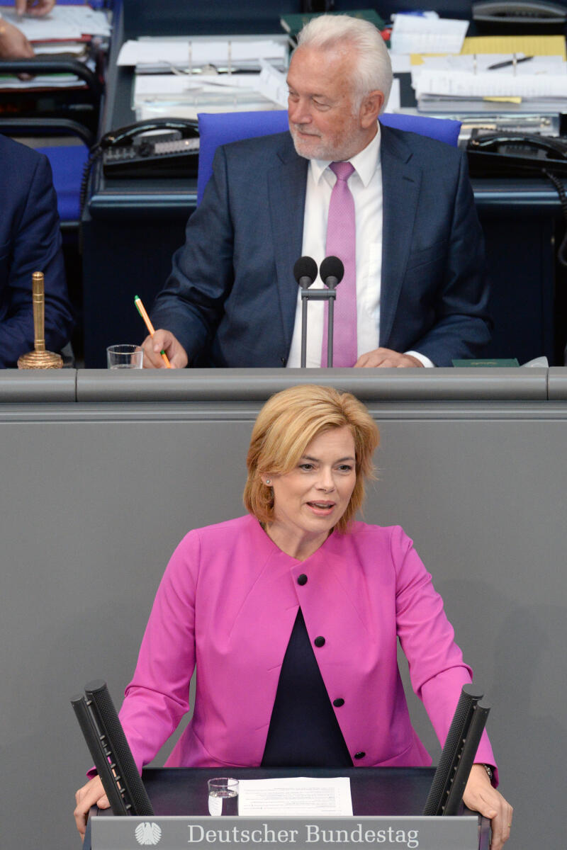 Klöckner, Julia; Kubicki, Wolfgang Julia Klöckner, CDU/CSU, Bundeslandwirtschaftsministerin, Rede, 46. Sitzung, Top 1 EPL 10, Thema: Ernährung und Landwirtschaft, Vorsitz: Bundestagsvizepräsident Wolfgang Kubicki, FDP.; Rednerpult, Bundesministerin für Ernährung und Landwirtschaft.