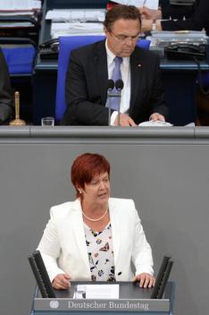 Ferschl, Susanne; Friedrich, Hans-Peter Reichstagsgebäude, Plenarsaal