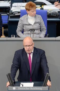 Altmaier, Peter; Pau, Petra Reichstagsgebäude, Plenarsaal
