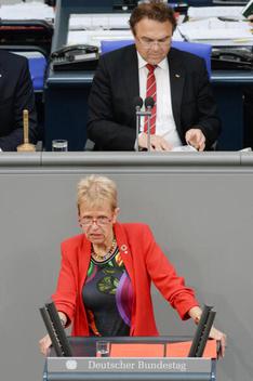 Nissen, Ulli; Friedrich, Hans-Peter Reichstagsgebäude, Plenarsaal
