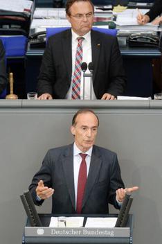 Gienger, Eberhard; Friedrich, Hans-Peter Reichstagsgebäude, Plenarsaal