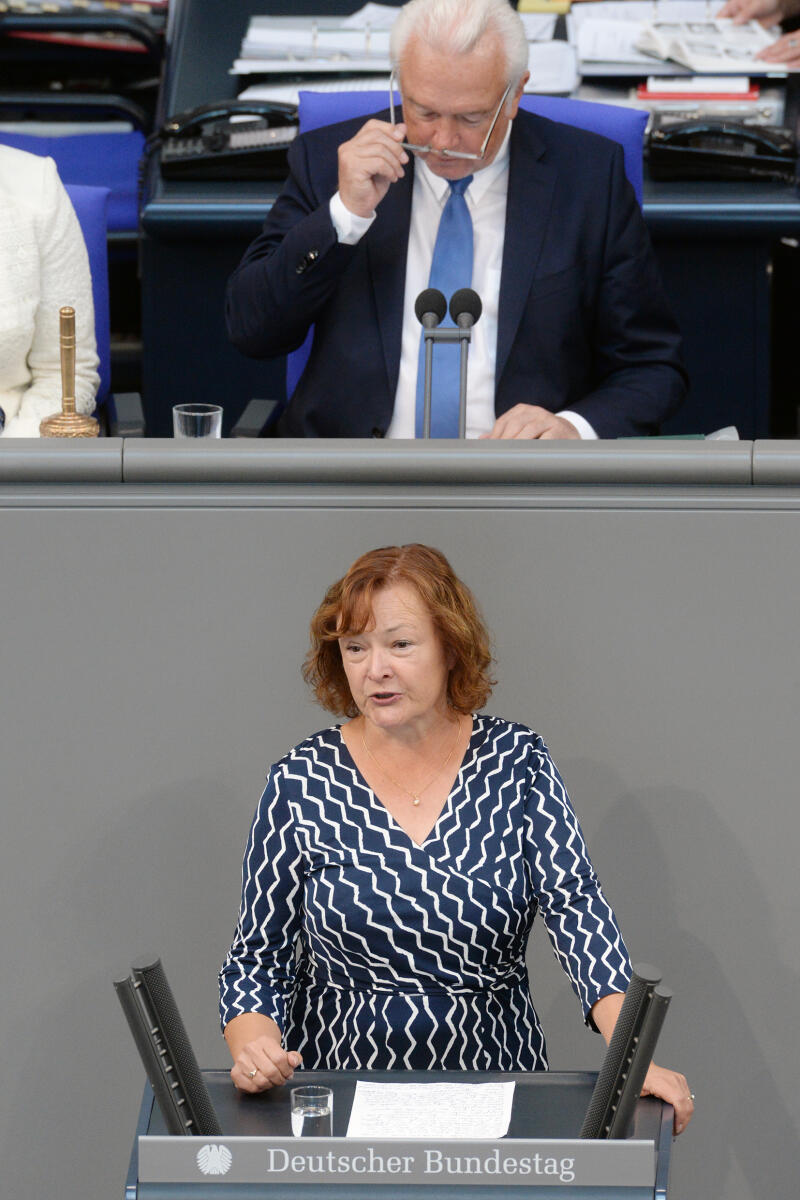 Kassner, Kerstin; Kubicki, Wolfgang Kerstin Kassner, DIE LINKE, Bundestagsabgeordnete, Abgeordnete, Mitglied Deutscher Bundestag, MdB, Rede, 36. Sitzung, Top 5, Thema: Tätigkeitsbericht 2017 des Petitionsausschusses, Vorsitz: Bundestagsvizepräsident Wolfgang Kubicki, FDP.; Rednerpult.