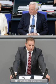 Mattfeldt, Andreas; Kubicki, Wolfgang Reichstagsgebäude, Plenarsaal