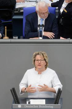 Schulze, Svenja; Kubicki, Wolfgang Reichstagsgebäude, Plenarsaal