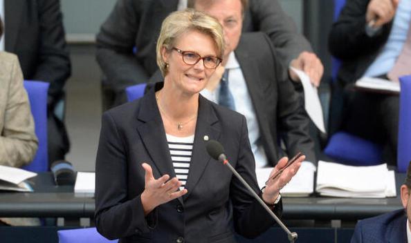 Karliczek, Anja Reichstagsgebäude, Plenarsaal