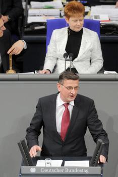 Rabanus, Martin; Pau, Petra Reichstagsgebäude, Plenarsaal