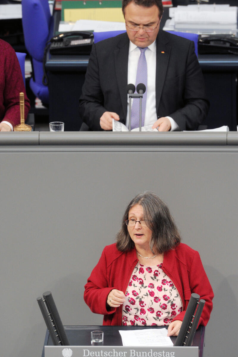 Freihold, Brigitte; Friedrich, Hans-Peter Brigitte Freihold, DIE LINKE, Bundestagsabgeordnete, Abgeordnete, Mitglied Deutscher Bundestag, MdB, Rede, 12. Sitzung, ZP 8, Thema: Globale Bildungspartnerschaft, Vorsitz: Bundestagsvizepräsident Dr. Hans-Peter Friedrich, CDU/CSU.; Rednerpult.
