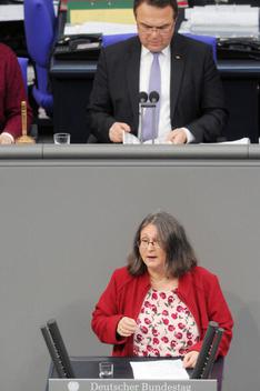 Freihold, Brigitte; Friedrich, Hans-Peter Reichstagsgebäude, Plenarsaal