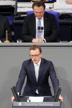 Krauß, Alexander; Friedrich, Hans-Peter Reichstagsgebäude, Plenarsaal