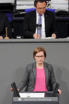 Kloke, Katharina; Friedrich, Hans-Peter Reichstagsgebäude, Plenarsaal