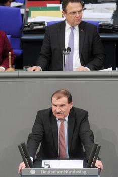 Straubinger, Max; Friedrich, Hans-Peter Reichstagsgebäude, Plenarsaal