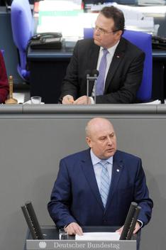 Gerdes, Michael; Friedrich, Hans-Peter Reichstagsgebäude, Plenarsaal