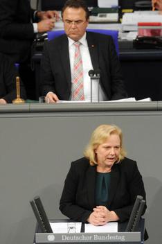 Schielke-Ziesing, Ulrike; Friedrich, Hans-Peter Reichstagsgebäude, Plenarsaal