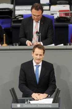 Höferlin, Manuel; Friedrich, Hans-Peter Reichstagsgebäude, Plenarsaal