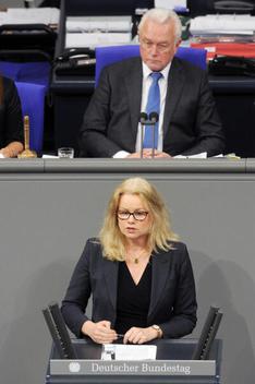 Kappert-Gonther, Kirsten; Kubicki, Wolfgang Reichstagsgebäude, Plenarsaal