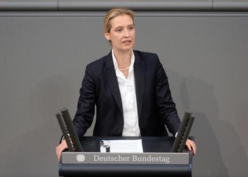 Weidel, Alice Reichstagsgebäude, Plenarsaal