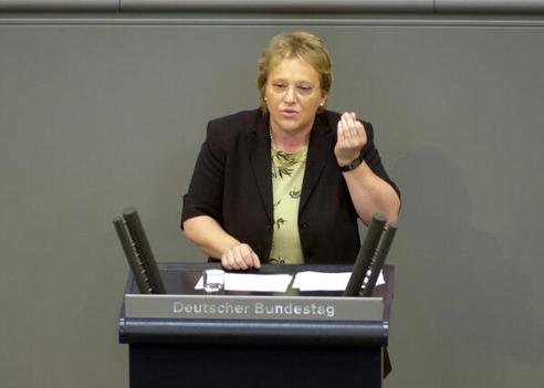 Kressl, Nicolette Reichstagsgebäude, Plenarsaal