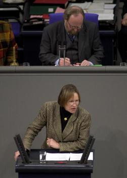 Schewe-Gerigk, Irmingard; Thierse, Wolfgang Reichstagsgebäude, Plenarsaal