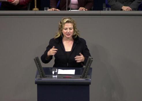 Hermenau, Antje Reichstagsgebäude, Plenarsaal