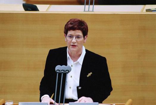 Süssmuth, Rita Liegenschaften in Bonn, Plenargebäude