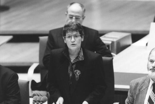 Süssmuth, Rita Liegenschaften in Bonn, Plenargebäude