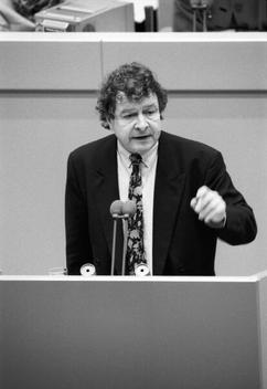 Irmer, Ulrich Liegenschaften in Bonn, Plenargebäude
