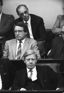 Schmidt, Helmut Liegenschaften in Bonn, Plenargebäude