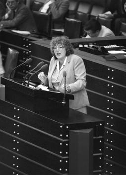 Schmidt, Renate Liegenschaften in Bonn, Plenargebäude