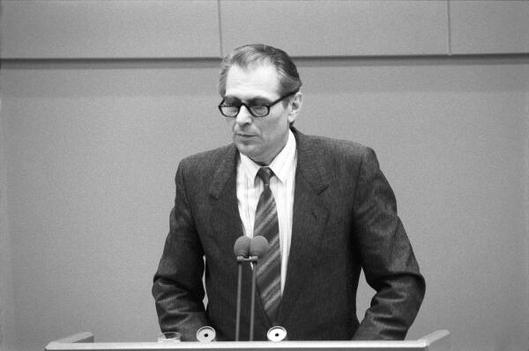 Meißner, Herbert Liegenschaften in Bonn, Plenargebäude