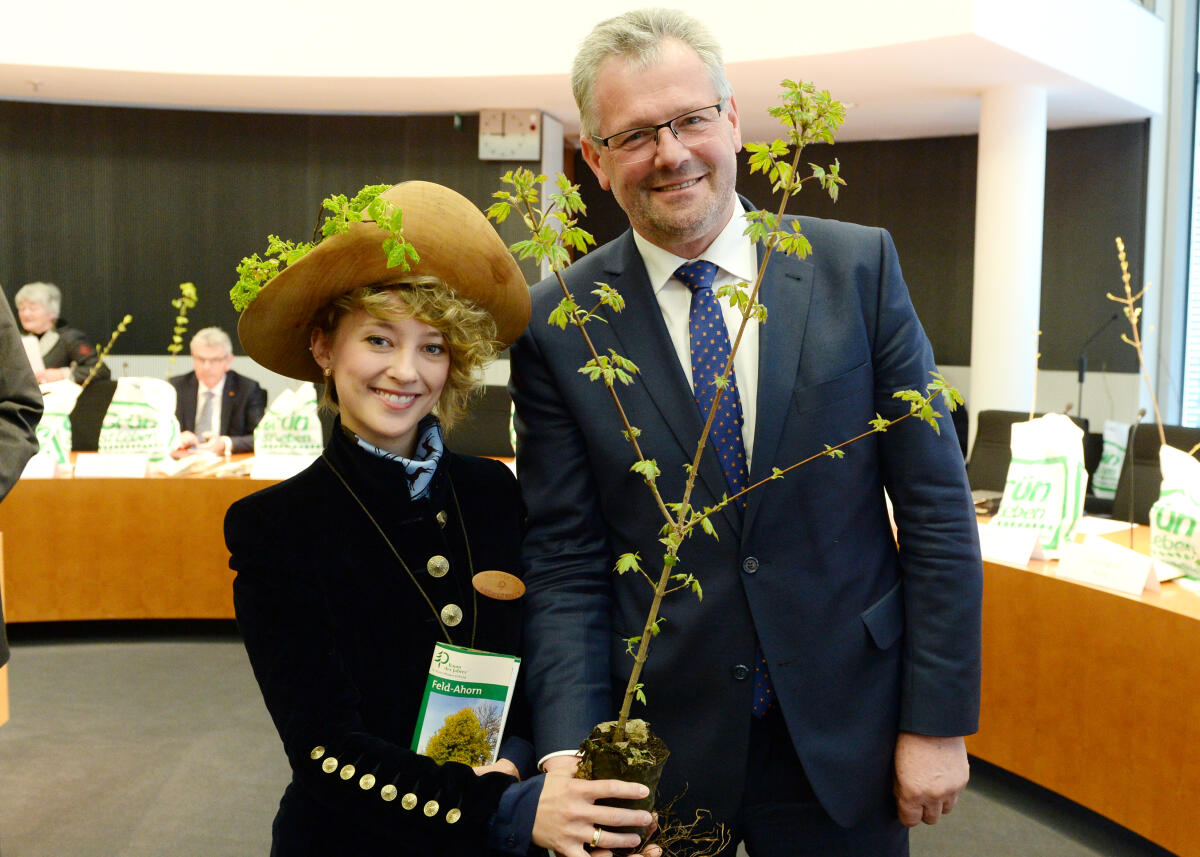 Alois Gerig, CDU/CSU, Vorsitzender des Ausschusses des Deutschen Bundestages für Ernährung und Landwirtschaft, nimmt von der Baumkönigin Claudia Schulze den Baum des Jahres 2015, einen Feldahorn, entgegen. Gerig, Alois; Schulze, Claudia Alois Gerig, CDU/CSU, Vorsitzender des Ausschusses des Deutschen Bundestages für Ernährung und Landwirtschaft, nimmt von der Baumkönigin Claudia Schulze den Baum des Jahres 2015, einen Feldahorn, entgegen.