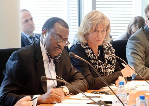 Wöhrl, Dagmar G.; Adesina, Akinwumi A. Paul-Löbe-Haus, Sitzungssaal