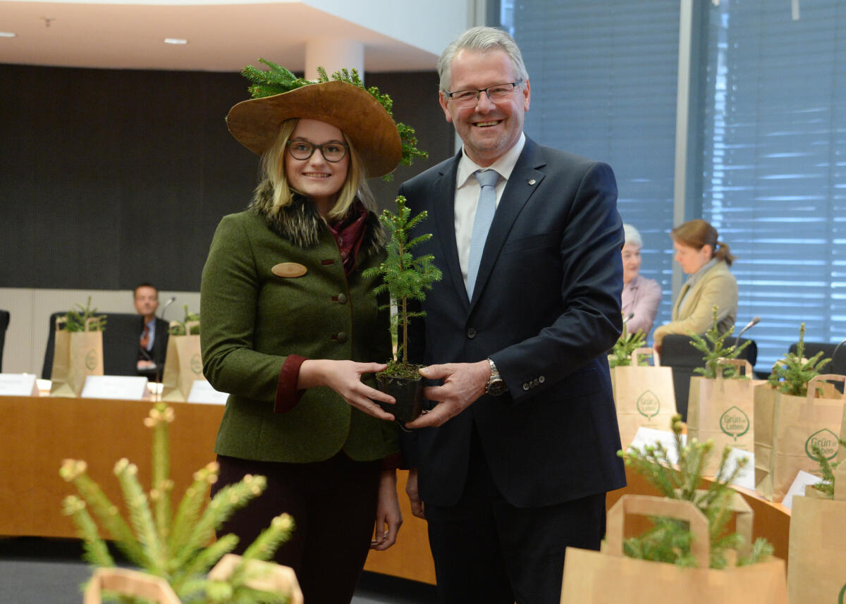 Gerig, Alois; Schnoor, Anne Bente Alois Gerig, CDU/CSU, Vorsitzender des Ausschusses des Deutschen Bundestages für Ernährung und Landwirtschaft, nimmt von der Baumkönigin 2017, Anne Bente Schnoor, für den Ausschuss den Baum des Jahres 2017, die Fichte, entgegen.