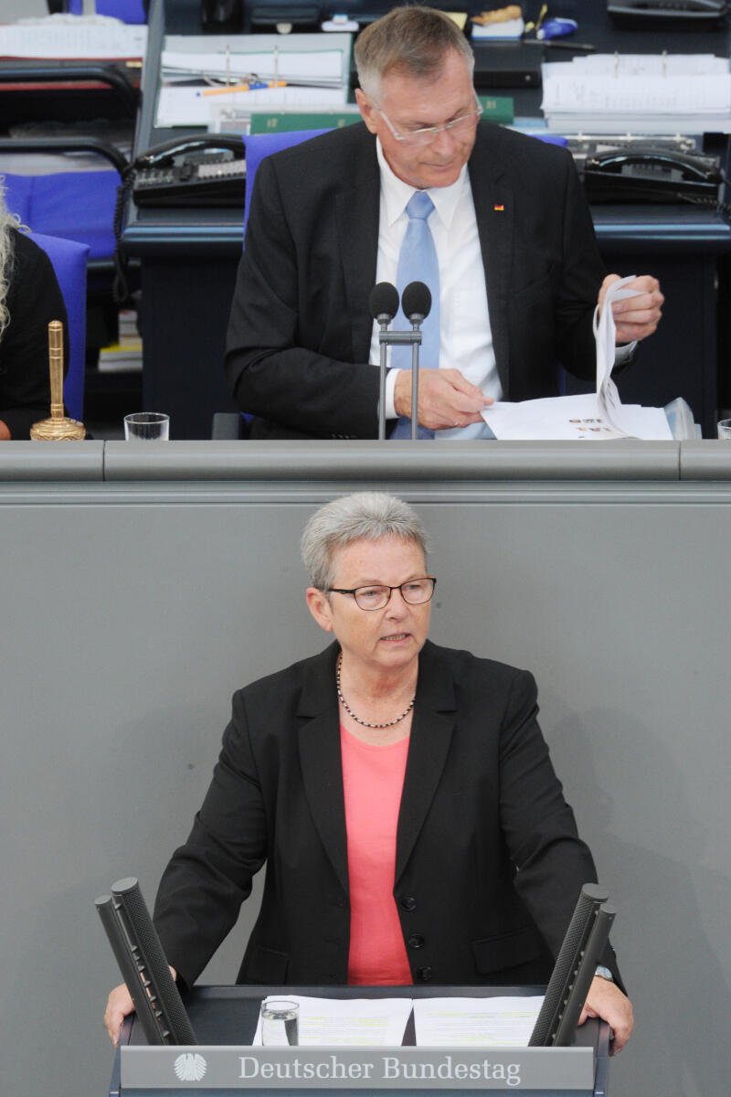 Steinke, Kersten; Singhammer, Johannes Kersten Steinke, DIE LINKE, Bundestagsabgeordnete, Abgeordnete, Mitglied Deutscher Bundestag, MdB, Rede, 233. Sitzung, Top 3, Thema: Tätigkeitsbericht 2016 des Petitionsausschusses,; Vorsitz: Bundestagsvizepräsident Johannes Singhammer, CDU/CSU.; Rednerpult.