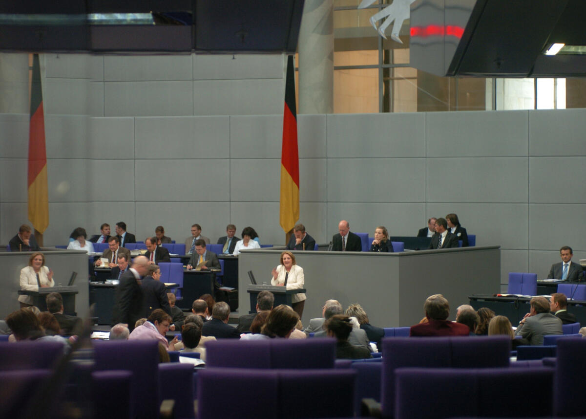 44. Sitzung Deutscher Bundestag, Debatte  zum Tagesordnungspunkt 29 (TOP 29) Föderalismusreform; Plenum, Abgeordnete, Bundestagsabgeordnete, Plenarsitzung